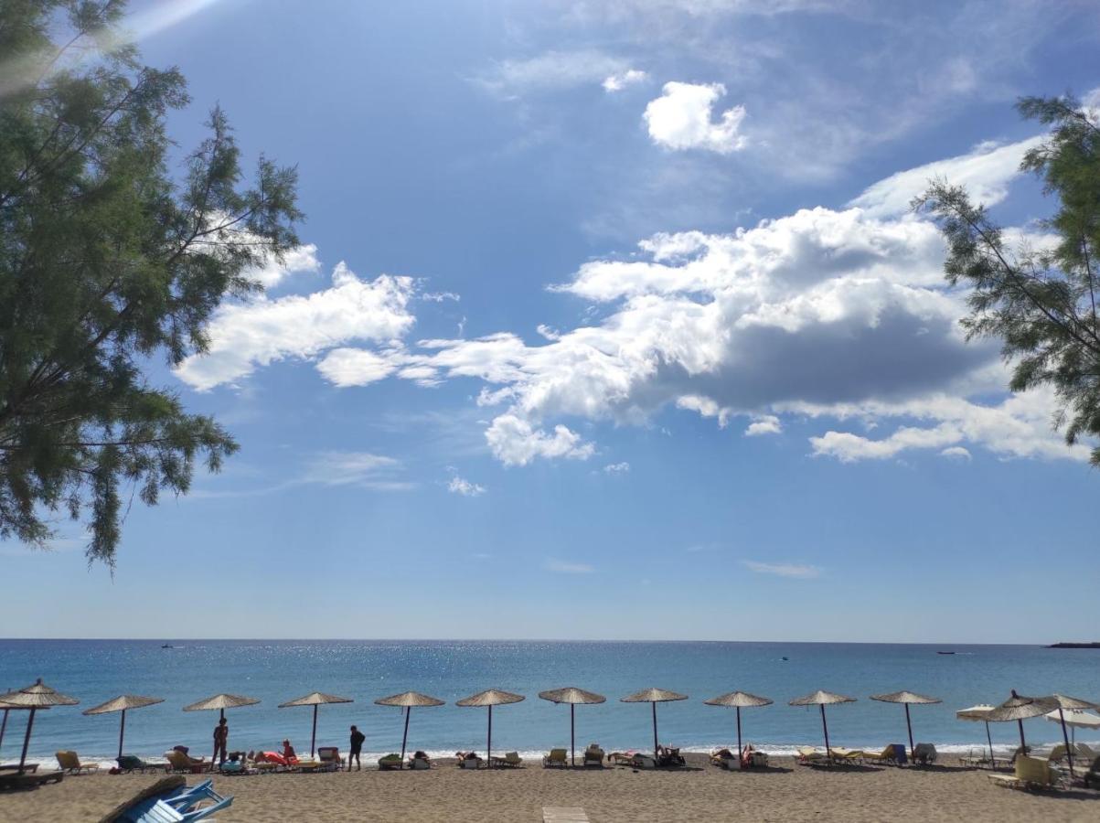 Stegna Premium Apartment Archangelos  Bagian luar foto